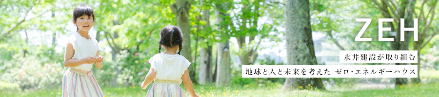 ZEH